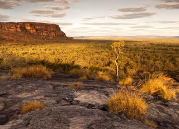 Top End thumbnail