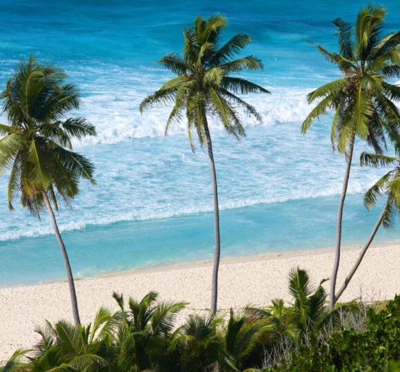 The Seychelles