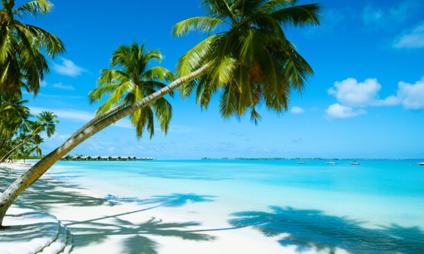 A Family Safari and Beach Adventure