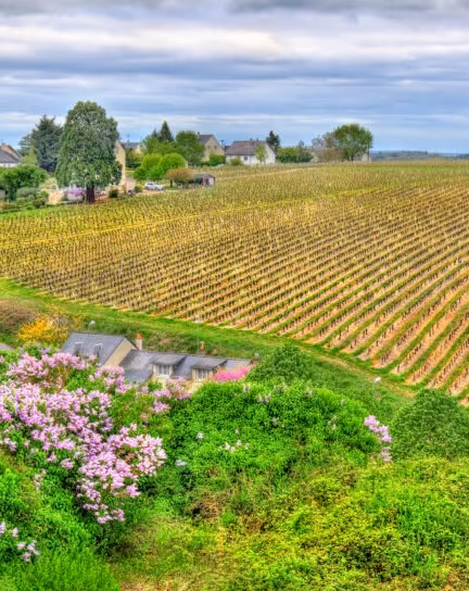 Our Favourite Château Hotels in France