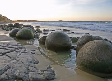 Dunedin and Coastal Otago thumbnail