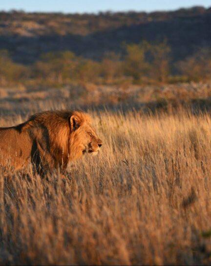 Jacada Photo Journal: Namibia