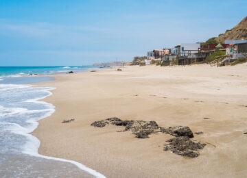 The Northern Beaches thumbnail