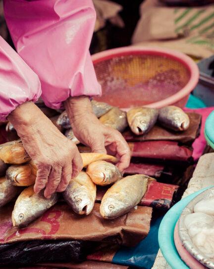 12 Best Destinations for Seafood Lovers