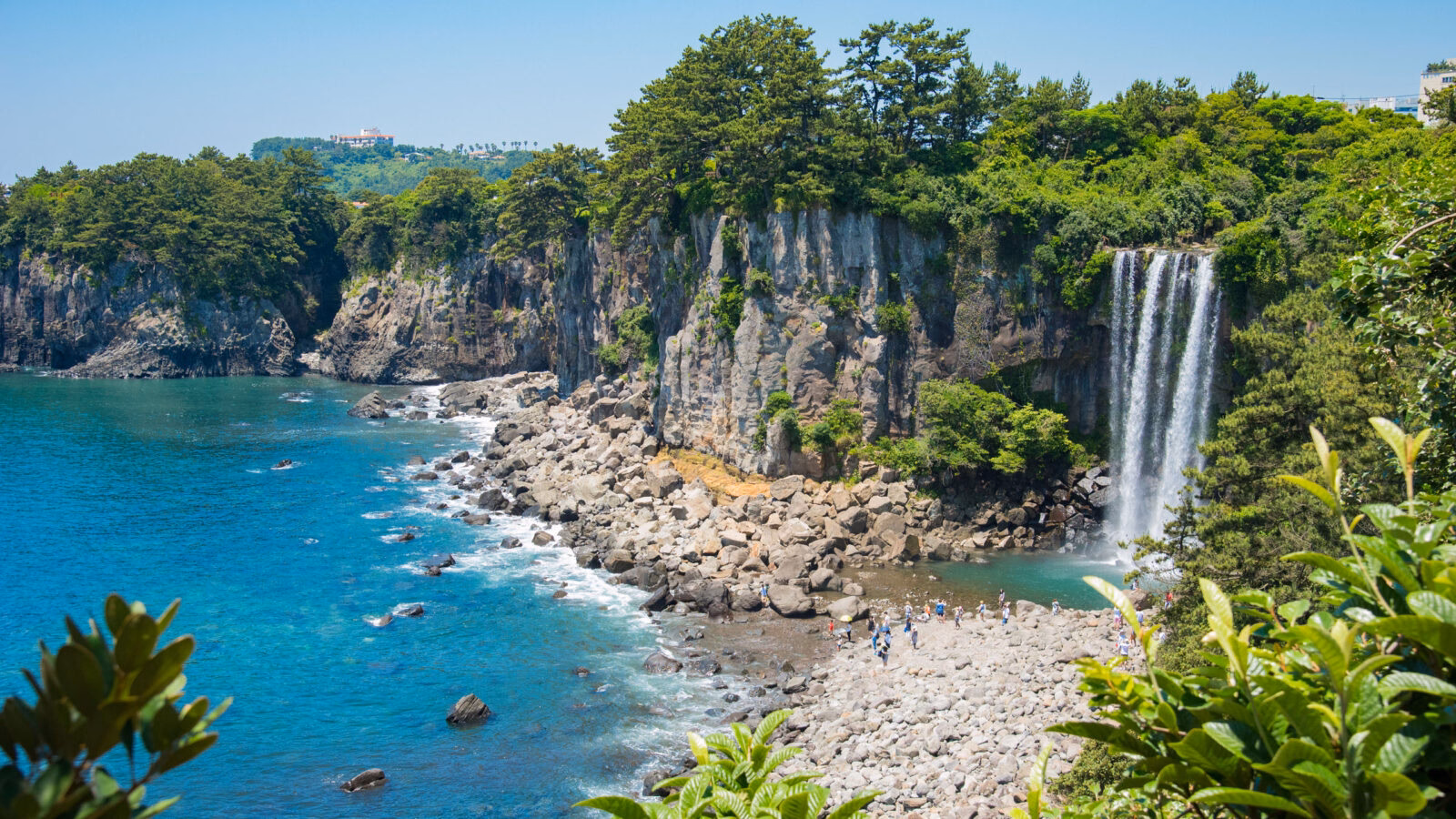 The cascading water of the Jeongbang Waterfall falling directly into the crystal blue sea in Jeju-do, South Korea