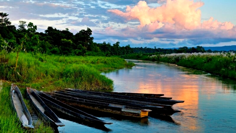 Dugout_boats_on_the_river_bank_in_Chitvans_national_park_in_Nepal