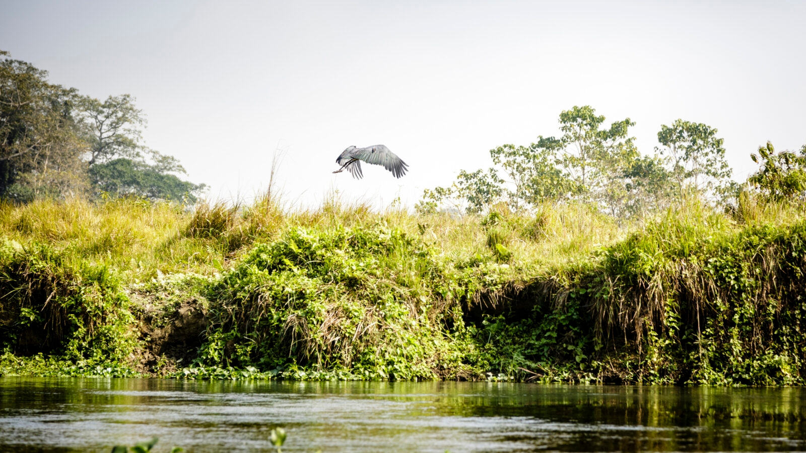chitwan-natural-reserve-nepal