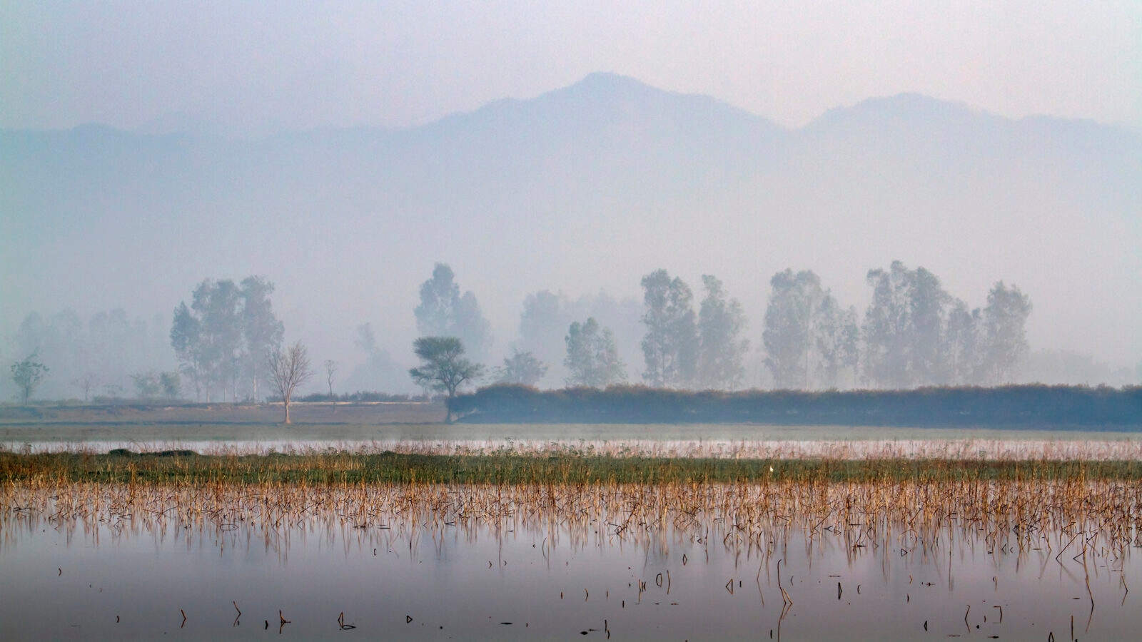 bardia-national-park-nepal-misty-morning