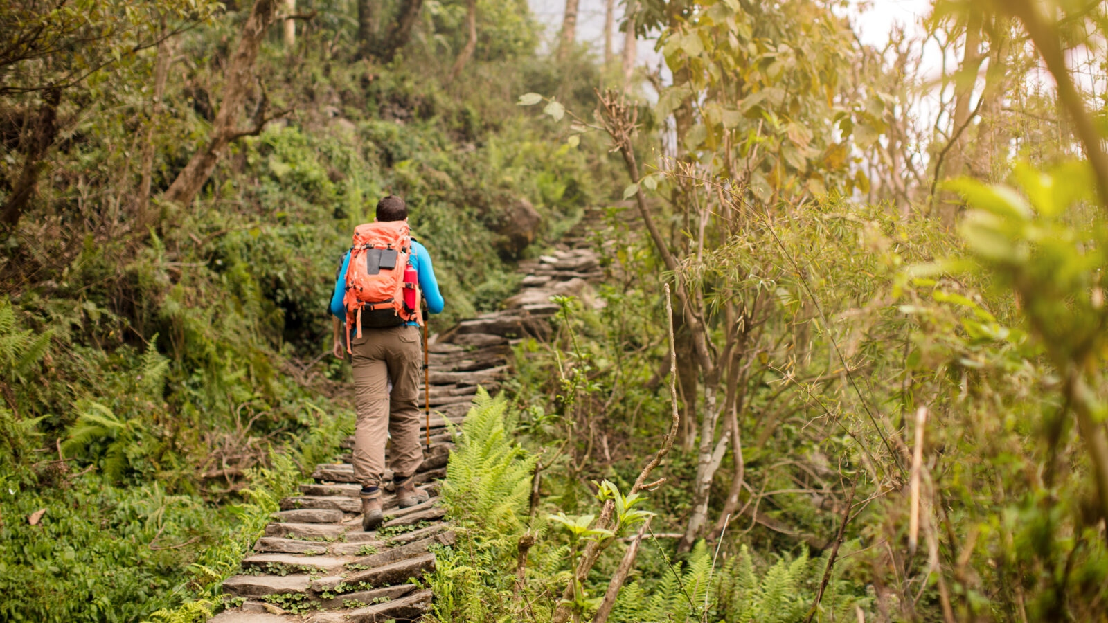 annapurna-region-hiking