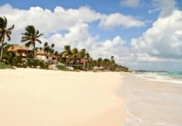 Papaya Playa Project