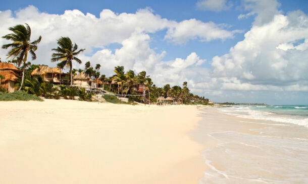 Papaya Playa Project