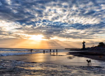 Canggu thumbnail