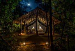 Tiger Tops Tharu Lodge