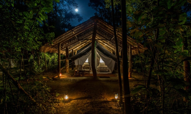 Tiger Tops Tharu Lodge