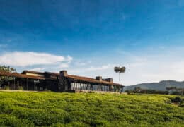 One&Only Nyungwe House