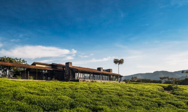 One&Only Nyungwe House