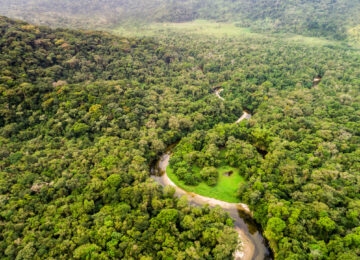 Colombian Amazon thumbnail