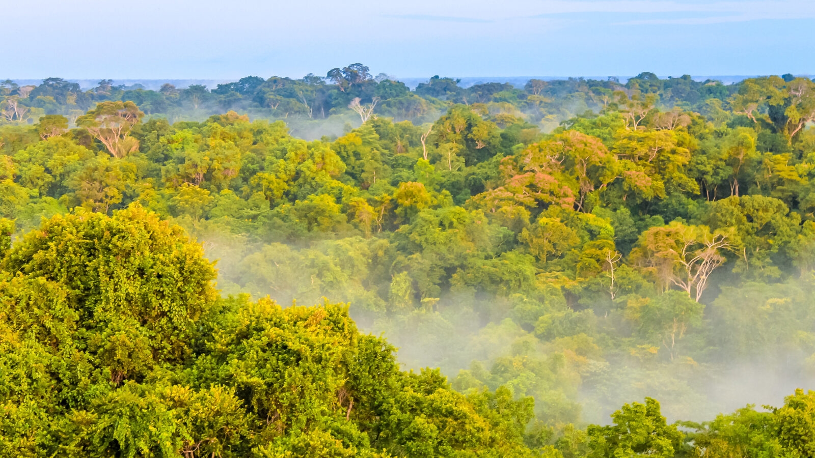 colombia-amazon-jungle