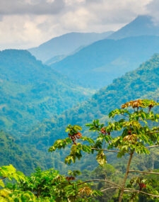Sierra Nevada de Santa Marta