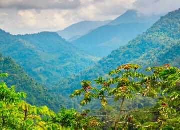 Sierra Nevada de Santa Marta thumbnail