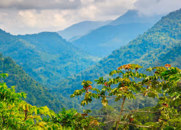 Sierra Nevada de Santa Marta thumbnail