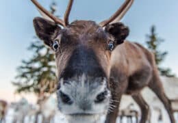 Family Fun in a Winter Wonderland