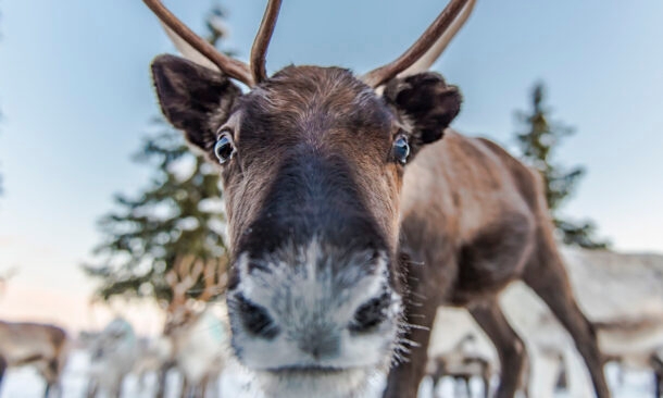Family Fun in a Winter Wonderland
