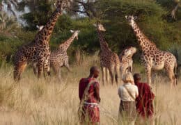 Awaken Your Senses in Tanzania and Rwanda