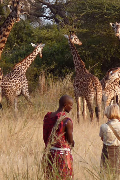 Awaken Your Senses in Tanzania and Rwanda