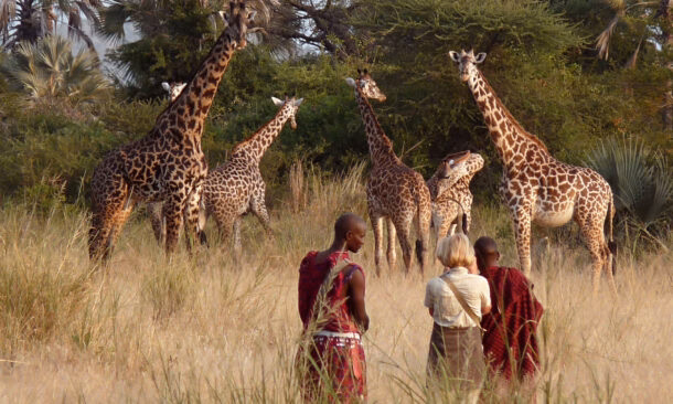 Awaken Your Senses in Tanzania and Rwanda