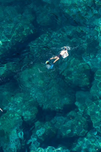 A Serengeti Safari and Zanzibar Beach Honeymoon