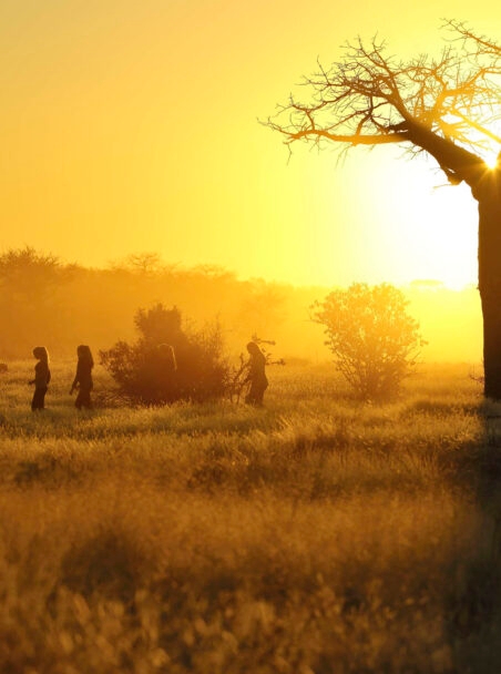 Where to Go on Safari in South Africa