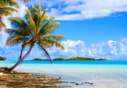 Beaches and Reefs of French Polynesia