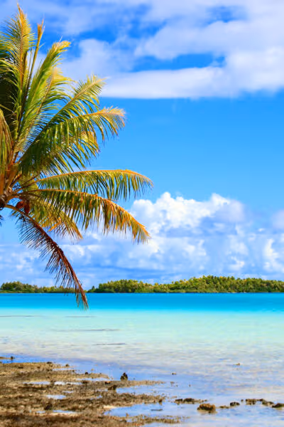 Beaches and Reefs of French Polynesia