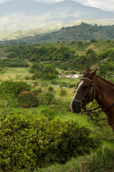 Family Fun in Beautiful Colombia