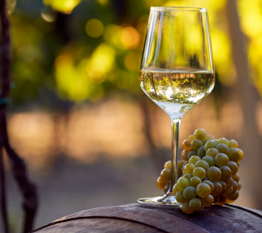 white-wine-barrel-grapes