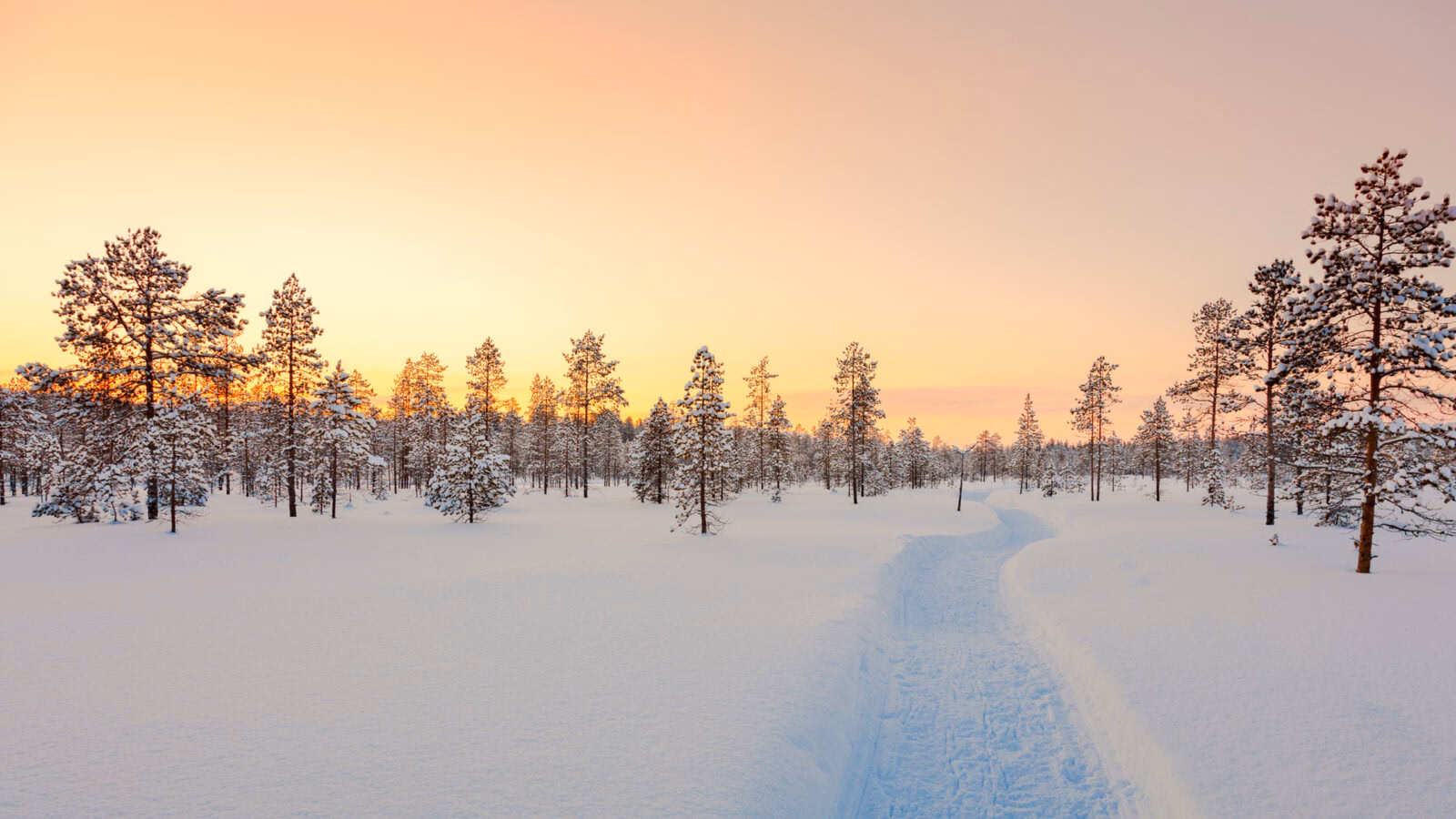 finnish-lapland-winter