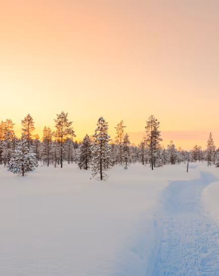 The 8 Best Snow Destinations in the World