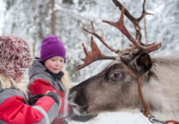 A Family Escape to Finnish Lapland