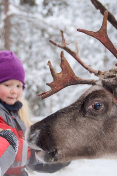 A Family Escape to Finnish Lapland