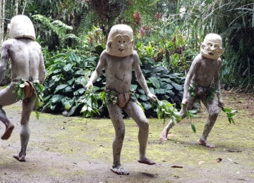 The Highlands thumbnail