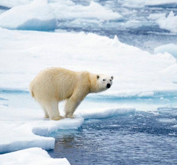 Polar Regions