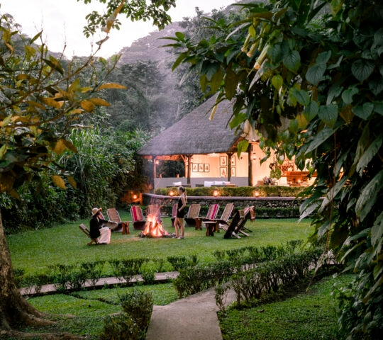 sanctuary-gorilla-forest-camp-uganda