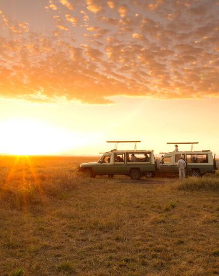 Safari Concessions, Conservancies and National Parks