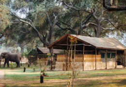 Time and Tide Chongwe River Camp