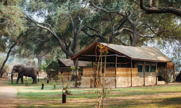 Time and Tide Chongwe River Camp