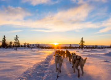 Ilulissat thumbnail