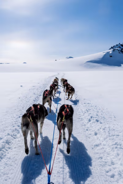 Luxury Arctic Exploration