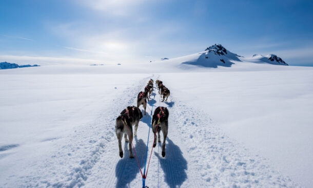 A Luxury Arctic Exploration