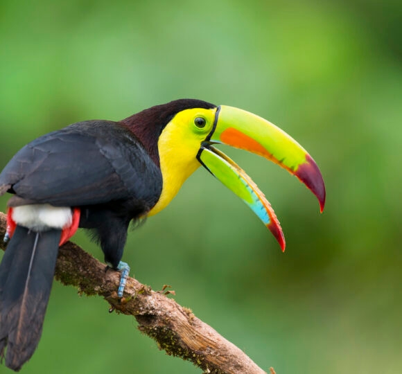 Ecuador